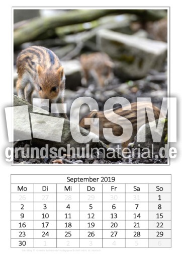 September_Frischling.pdf